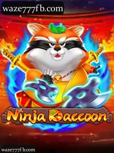 NinjaRaccoon